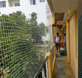 Class Image
